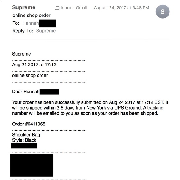 SOLD: Supreme Bag - Picture 4 of 4